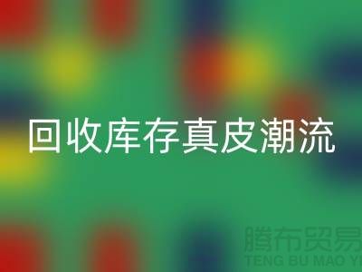 环保大作：彩神线上平台(集团)官方网站库存真皮引领时尚潮流