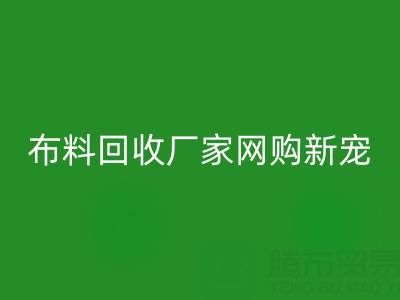 上海库存布料彩神线上平台(集团)官方网站厂家网购新宠，领先行业潮流！