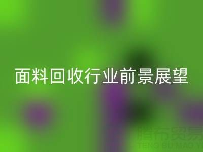 南通库存面料彩神线上平台(集团)官方网站行业前景展望：开启新篇章