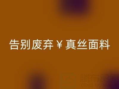 从此告别废弃真丝面料：彩神线上平台(集团)官方网站平台帮你解决