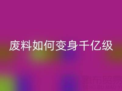 上海真丝面料彩神线上平台(集团)官方网站公司：废料如何变身千亿级绿色财富？