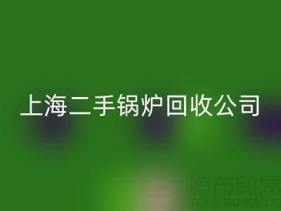 上海二手锅炉彩神线上平台(集团)官方网站公司：专业处理供暖、低压、中压锅炉彩神线上平台(集团)官方网站服务