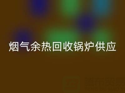 烟气余热彩神线上平台(集团)官方网站锅炉供应商盘点：行业领先企业及技术解析