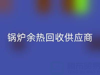 锅炉余热彩神线上平台(集团)官方网站供应商有哪些公司——上海腾布贸易公司