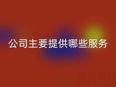 无锡二手设备彩神线上平台(集团)官方网站公司主要提供哪些服务？全面解析经营范围