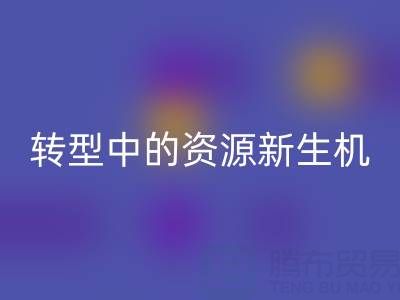 上海服装面料彩神线上平台(集团)官方网站：绿色转型中的资源新生机