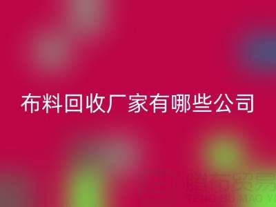广东比较知名的靠谱二手布料彩神线上平台(集团)官方网站厂家有哪些公司