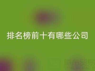 家纺辅料彩神线上平台(集团)官方网站厂家排名榜前十有哪些公司