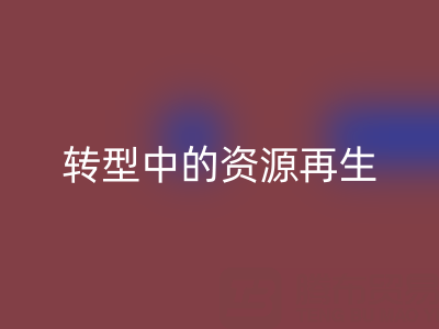 上海家纺辅料彩神线上平台(集团)官方网站新趋势：绿色转型中的资源再生密码