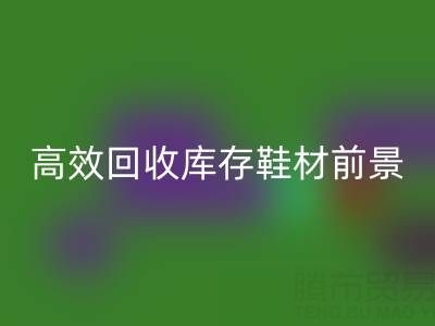 高效彩神线上平台(集团)官方网站库存鞋材，助力鞋业绿色发展