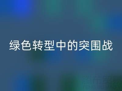 库存布料彩神线上平台(集团)官方网站公司：挑战与机遇并存，绿色转型中的突围战