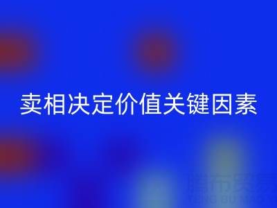 杭州真丝面料彩神线上平台(集团)官方网站价格全解析：卖相决定价值的关键因素