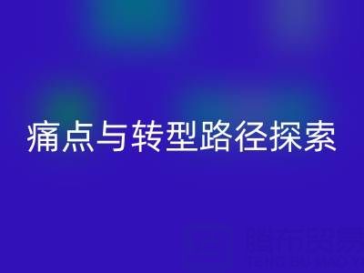 杭州库存布料彩神线上平台(集团)官方网站市场现状解析：痛点与转型路径探索