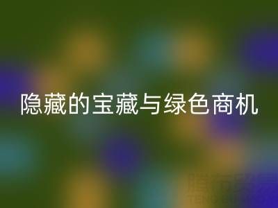库存辅料彩神线上平台(集团)官方网站市场：隐藏的宝藏与绿色商机