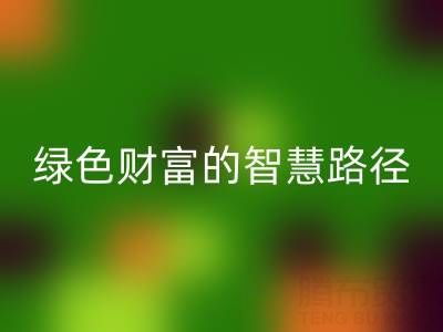 上海库存辅料彩神线上平台(集团)官方网站方式：变”沉睡资产”为绿色财富的智慧路径