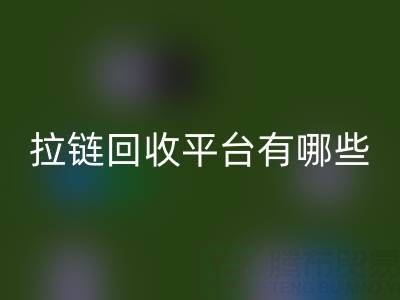 拉链彩神线上平台(集团)官方网站平台有哪些品牌？探索环保彩神线上平台(集团)官方网站的领先企业