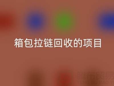  箱包拉链彩神线上平台(集团)官方网站项目的商业运营模式与盈利探索