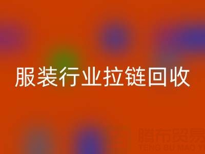 服装行业拉链彩神线上平台(集团)官方网站市场体系构建的必要性与可行性