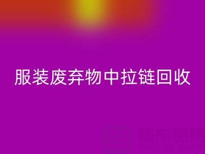 服装废弃物中拉链彩神线上平台(集团)官方网站的特殊性及应对措施