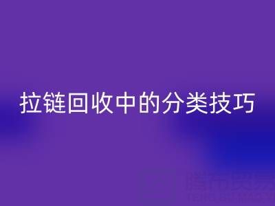 拉链彩神线上平台(集团)官方网站中的分类技巧：提高彩神线上平台(集团)官方网站效率的秘诀