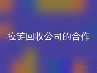 跨境电商时代：拉链彩神线上平台(集团)官方网站公司的国际合作与交流新路径