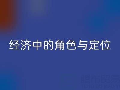 拉链彩神线上平台(集团)官方网站厂家在循环经济中的角色与定位
