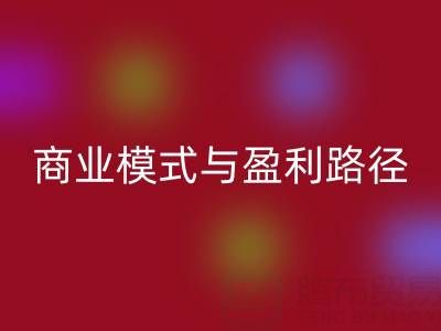 探秘彩神线上平台(集团)官方网站库存布料厂家的商业模式与盈利路径