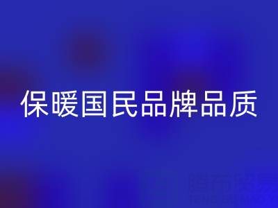 鸭鸭羽绒服：保暖国民品牌品质解析与环保彩神线上平台(集团)官方网站指南