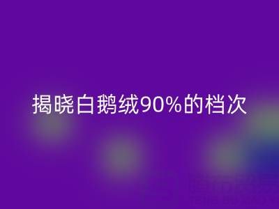 揭秘白鹅绒90%的档次与价值，探寻杭州羽绒彩神线上平台(集团)官方网站奥秘