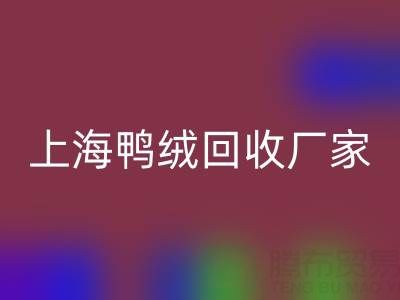 羽绒被内胆布料选购指南：上海鸭绒彩神线上平台(集团)官方网站厂家的专业建议