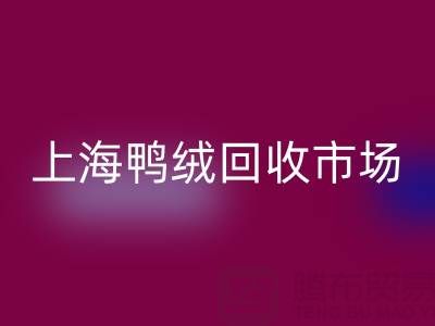 上海鸭绒彩神线上平台(集团)官方网站市场解析：羽绒被彩神线上平台(集团)官方网站价格的决定因素与产业价值