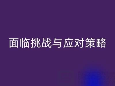 库存染料彩神线上平台(集团)官方网站公司面临的挑战与应对策略